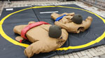 Sumo-Ringer Anzüge