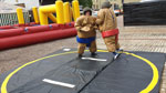 Sumo-Ringer in Action